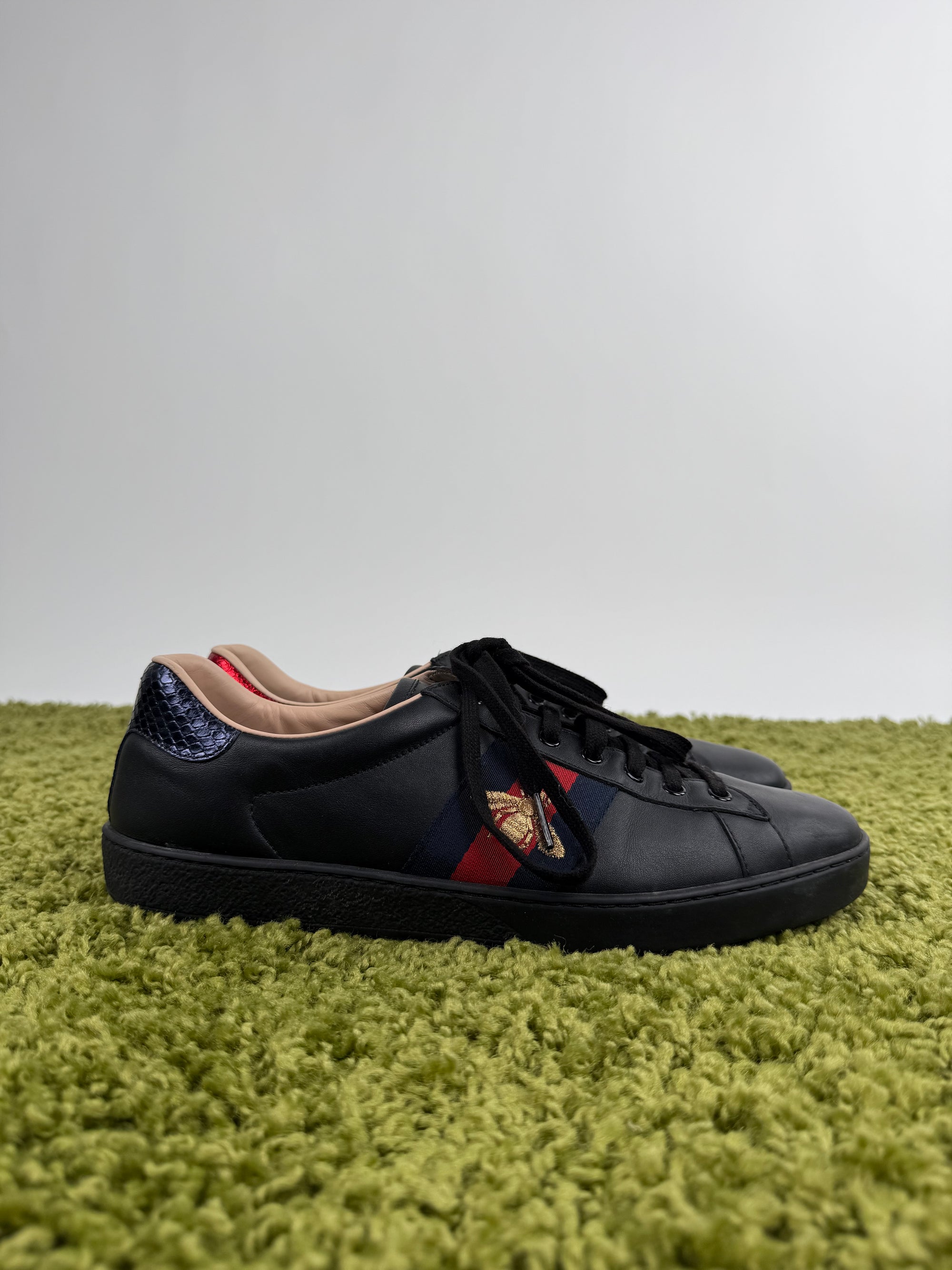 Gucci Ace 45 veste 45.5