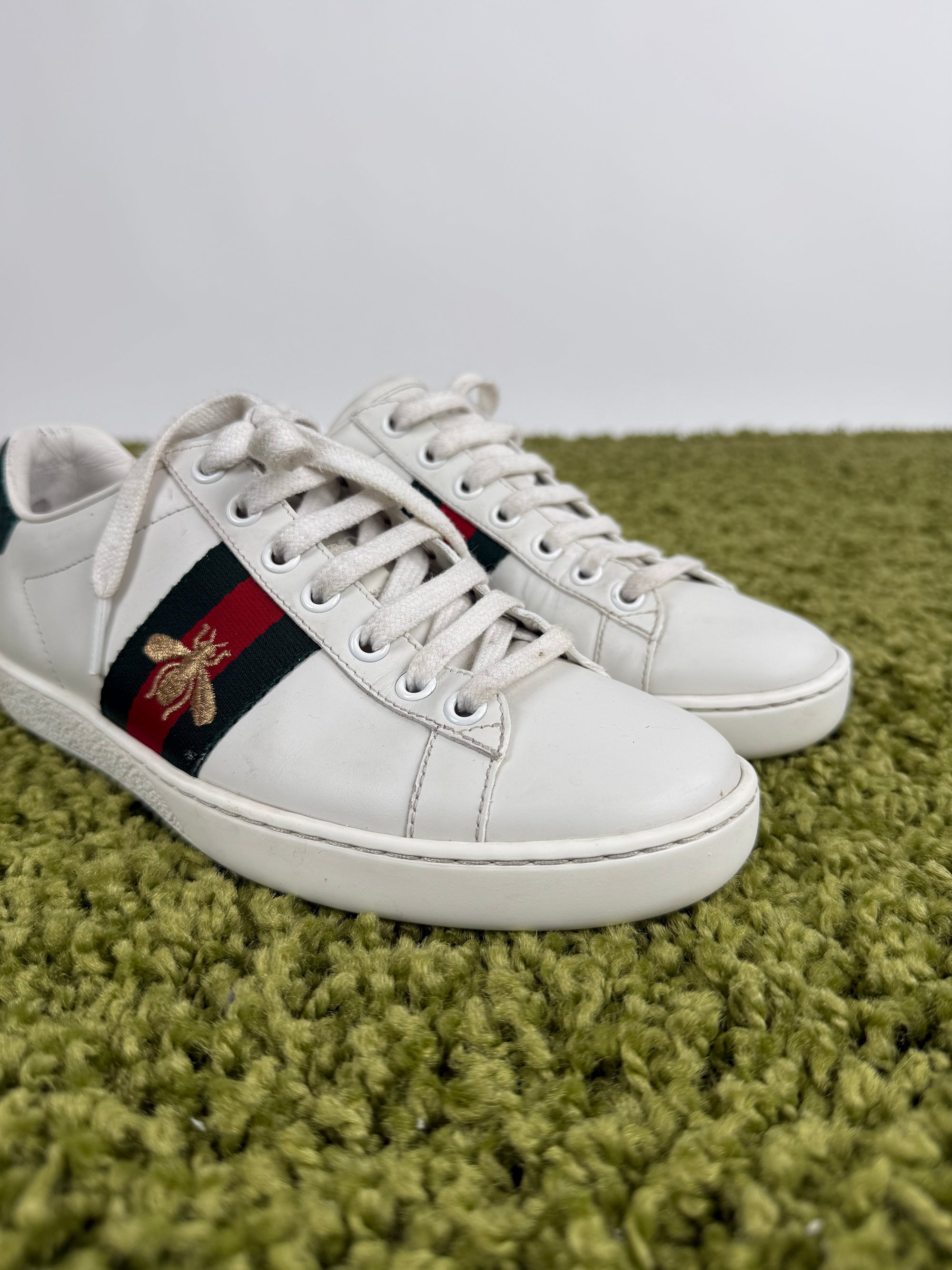Gucci Ace Sneaker 35,5 veste 36