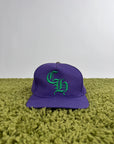 Cappello Chrome Hearts Viola Verde 53-60