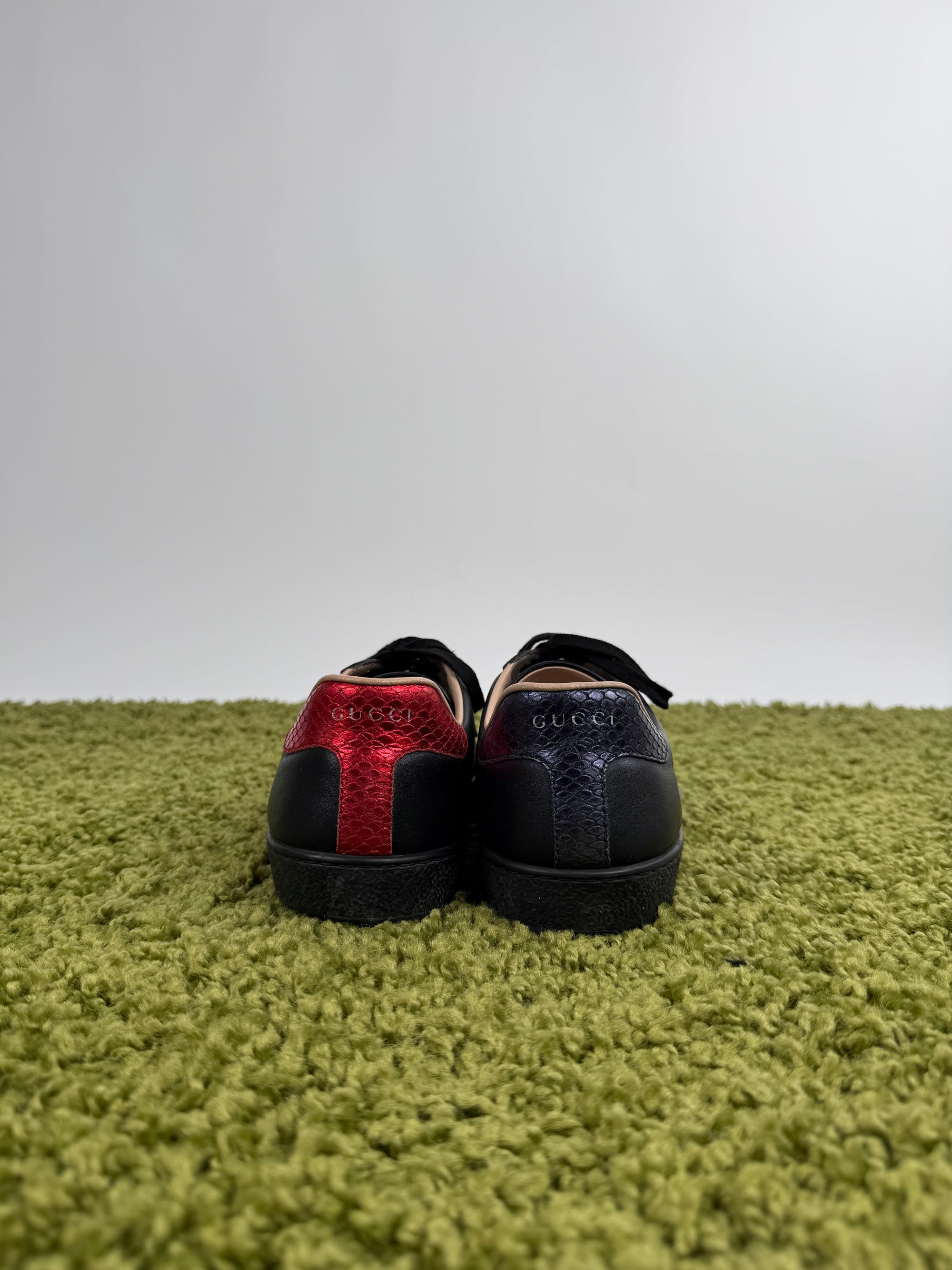 Gucci Ace Low Sneaker 43