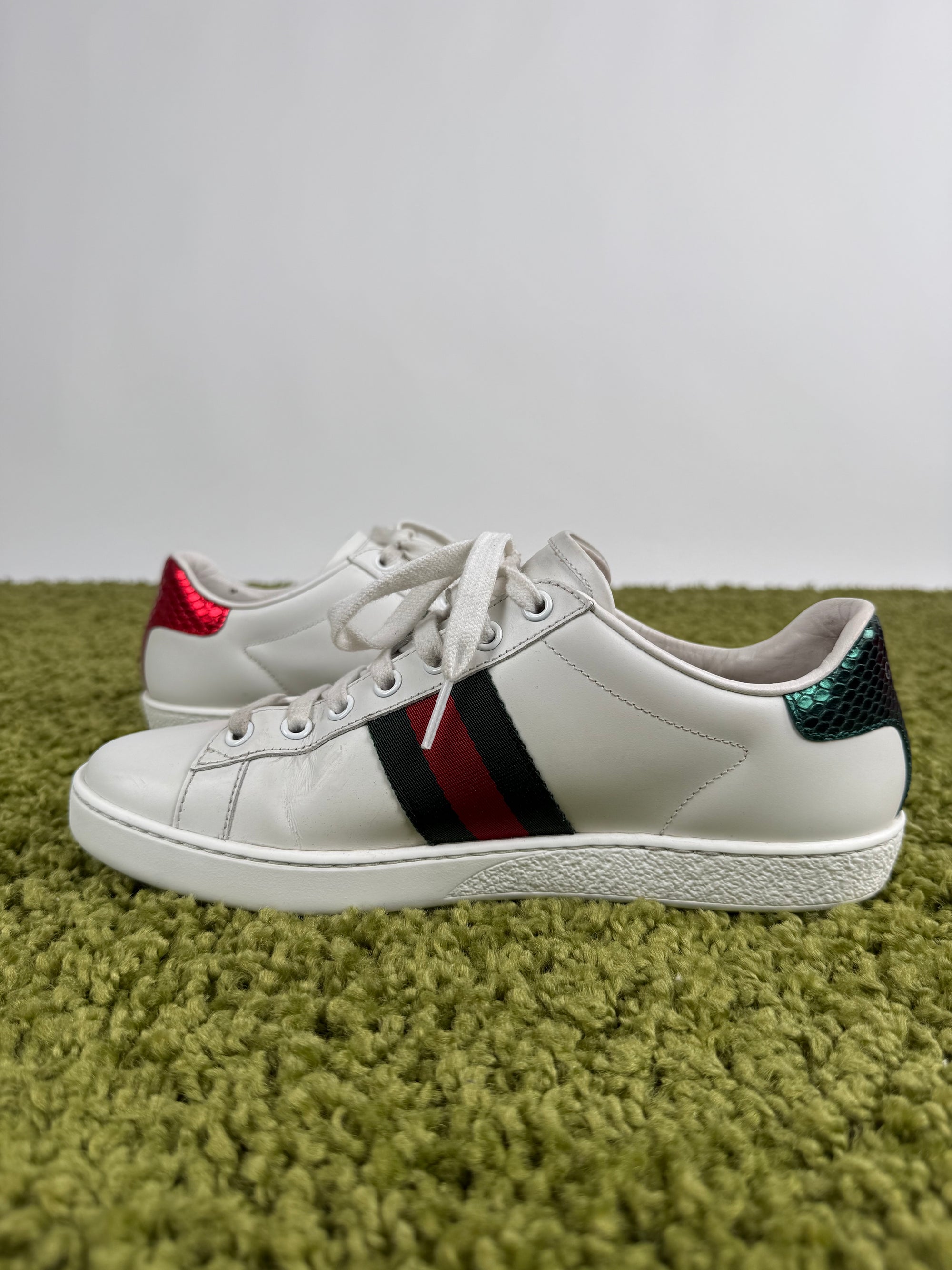 Gucci Ace Sneaker 38 veste 38,5