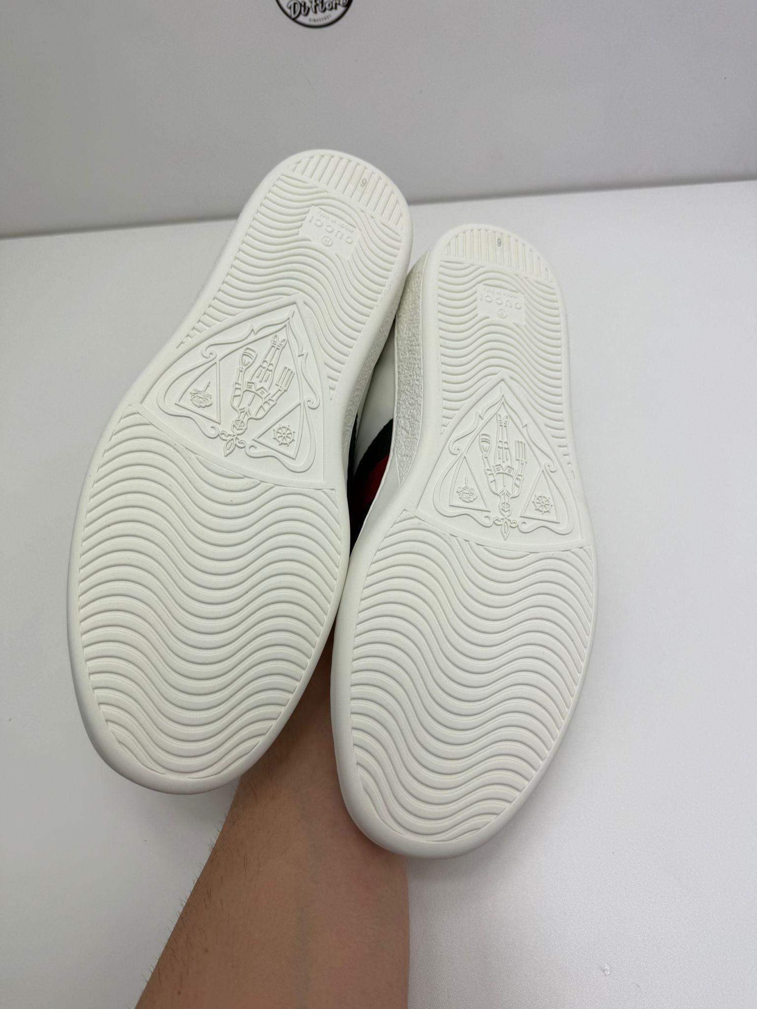 Gucci ace nuova