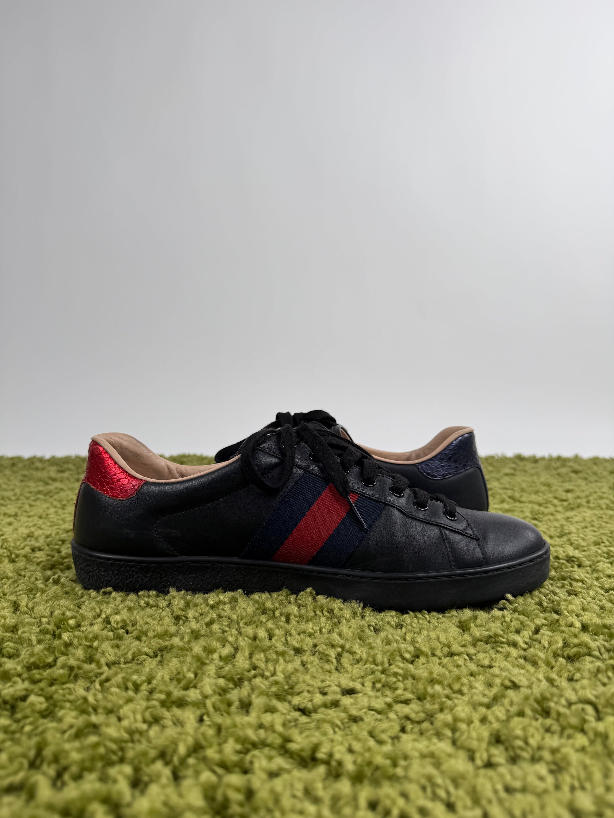 Gucci Ace Low Sneaker 43