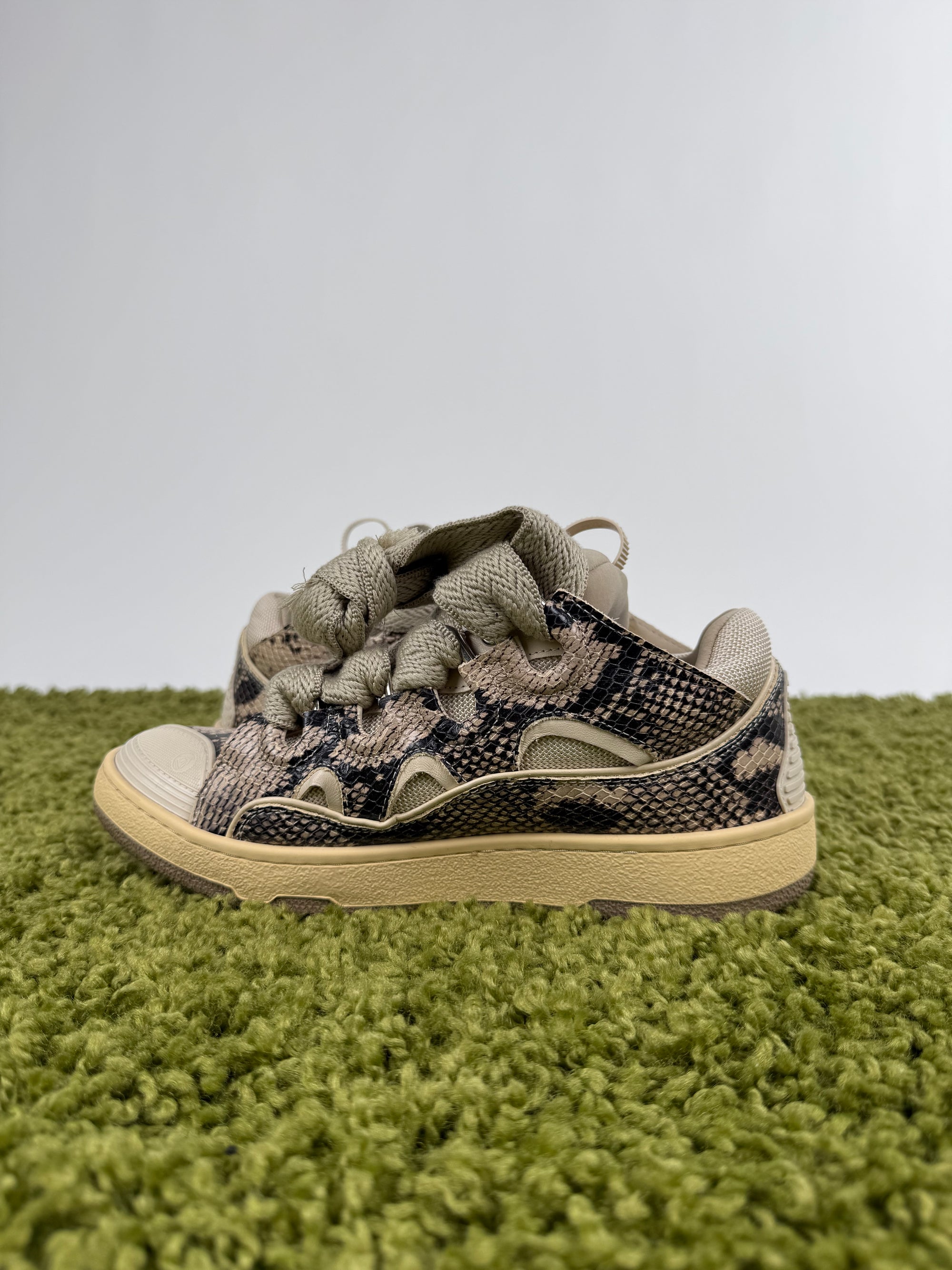 Lanvin Curb Con dettaglio Pelle di serpente 39
