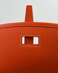 Borsa Goyard Belvedere PM in tela Goyardine Arancione