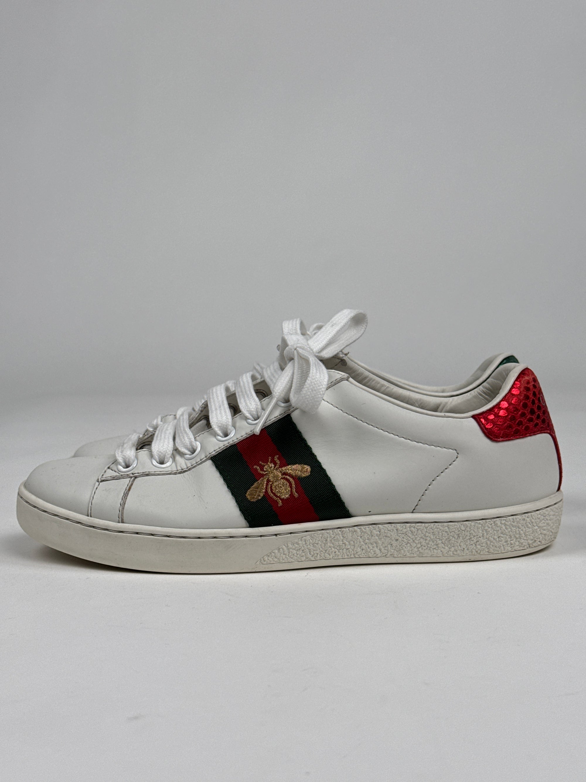 Gucci Ace Sneaker