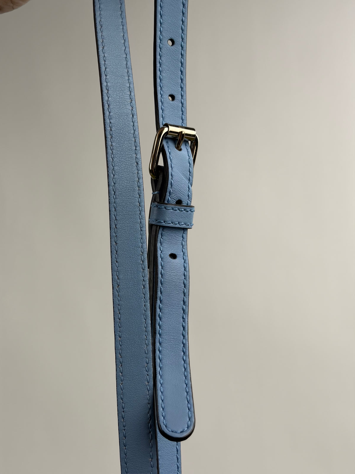 Borsa Dome Gucci Azzurra