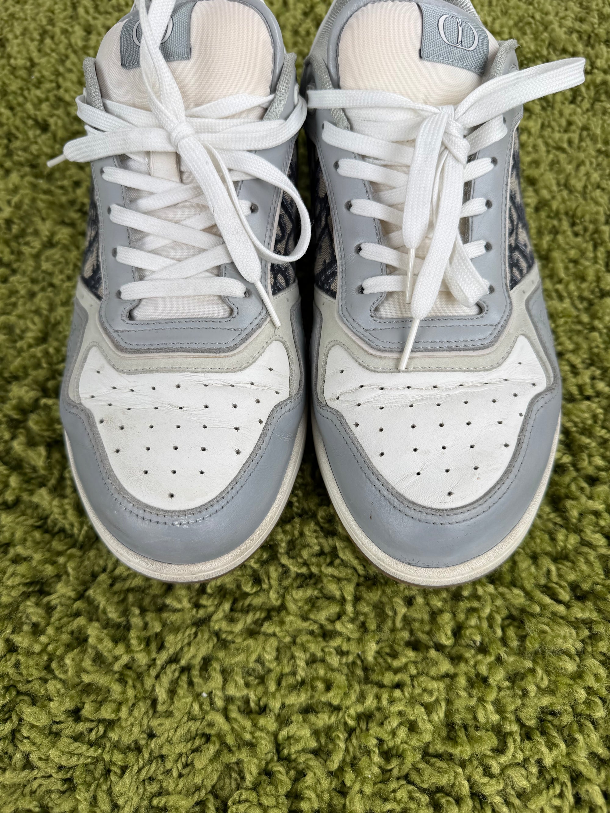 Christian Dior B27 Grigia 43