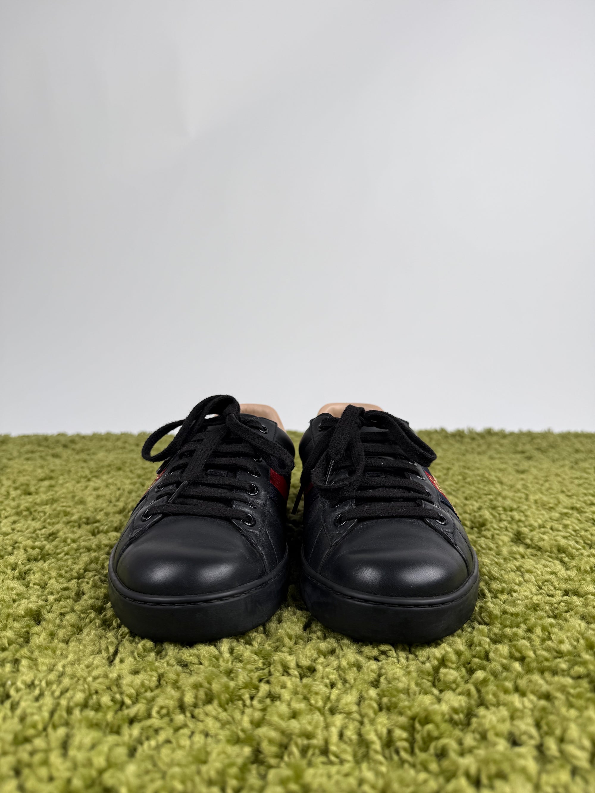Gucci Ace Sneaker 40 veste 40,5