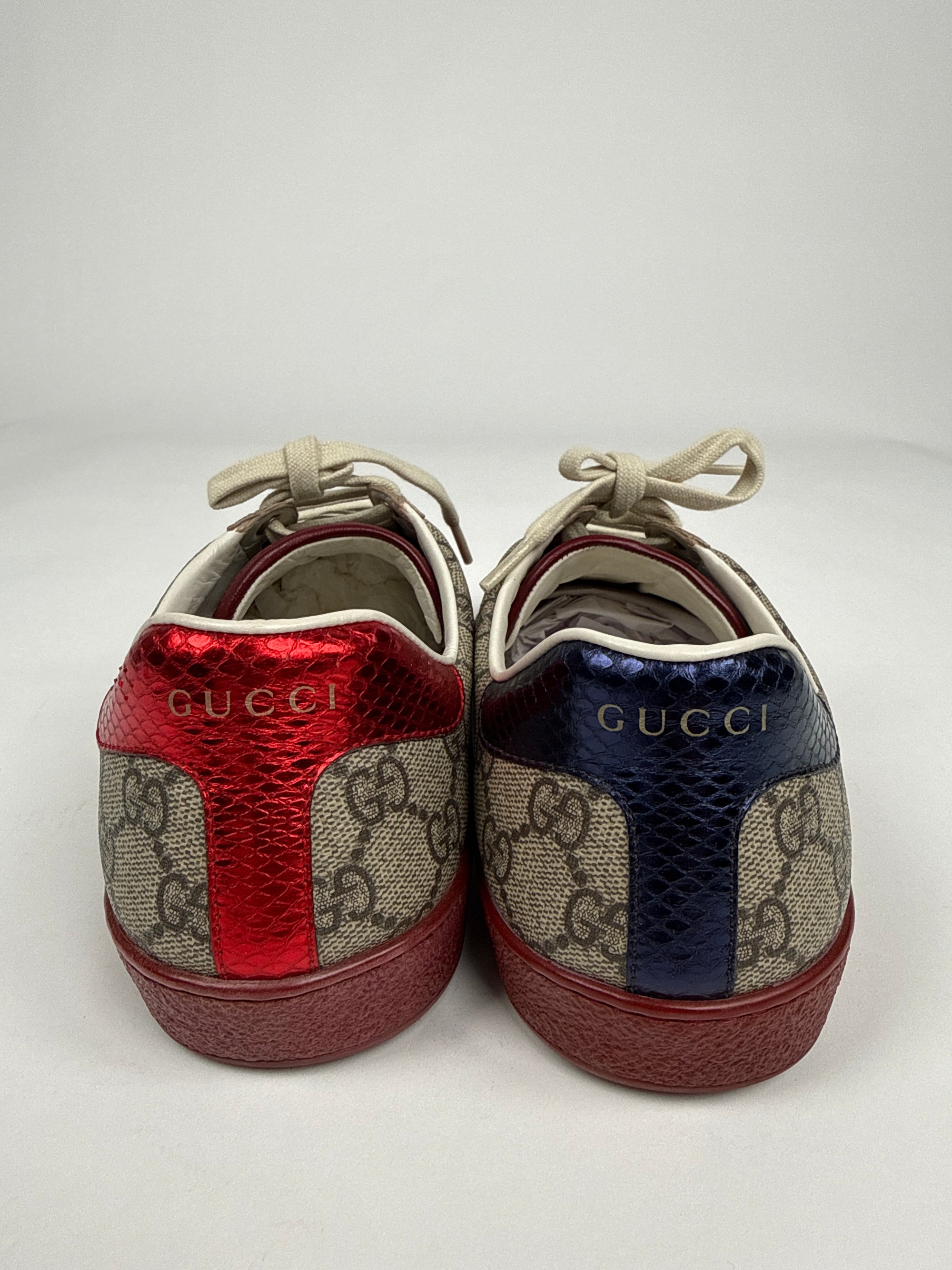 Sneaker Gucci Ace Supreme