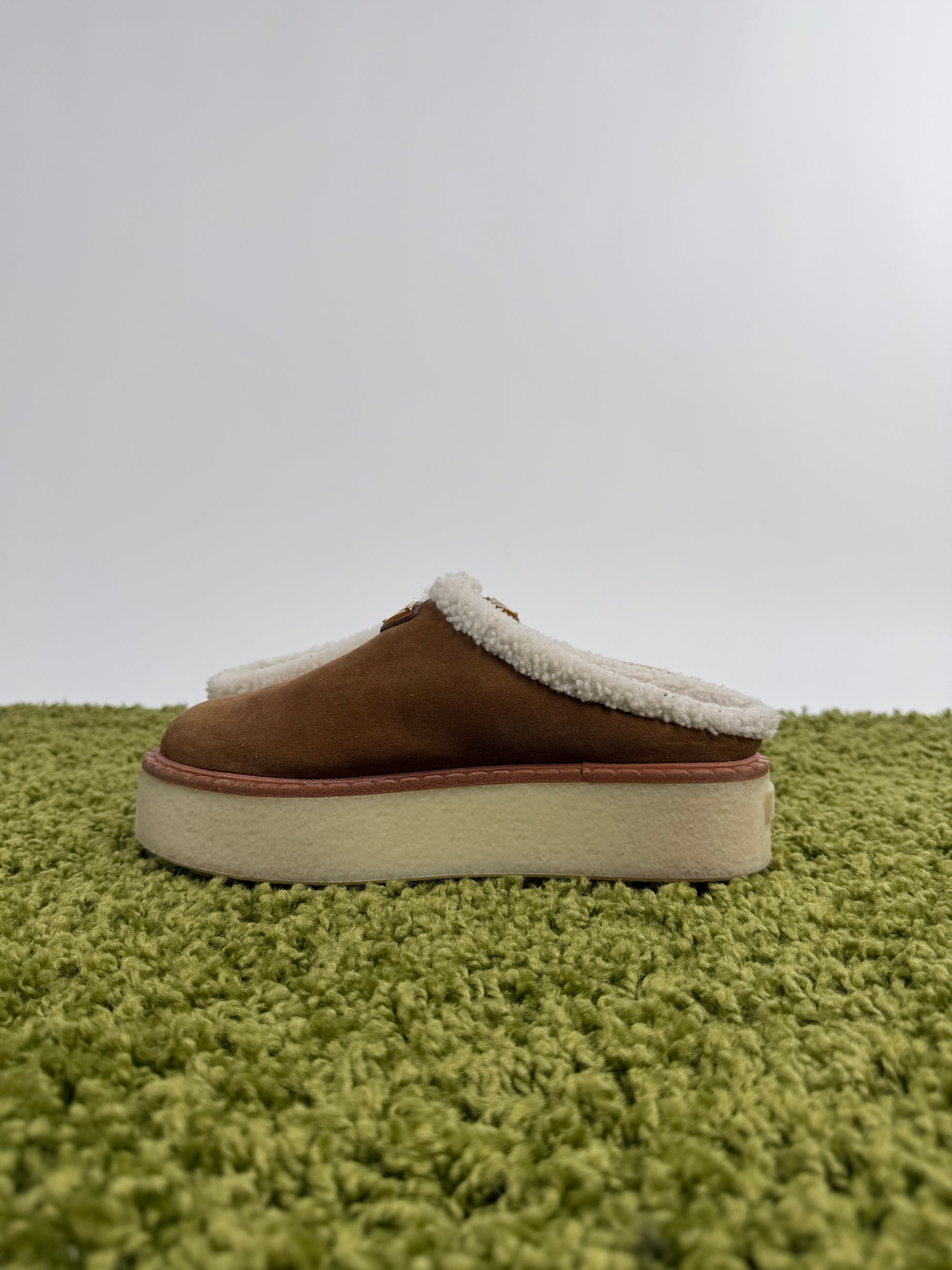 Prada 37.5