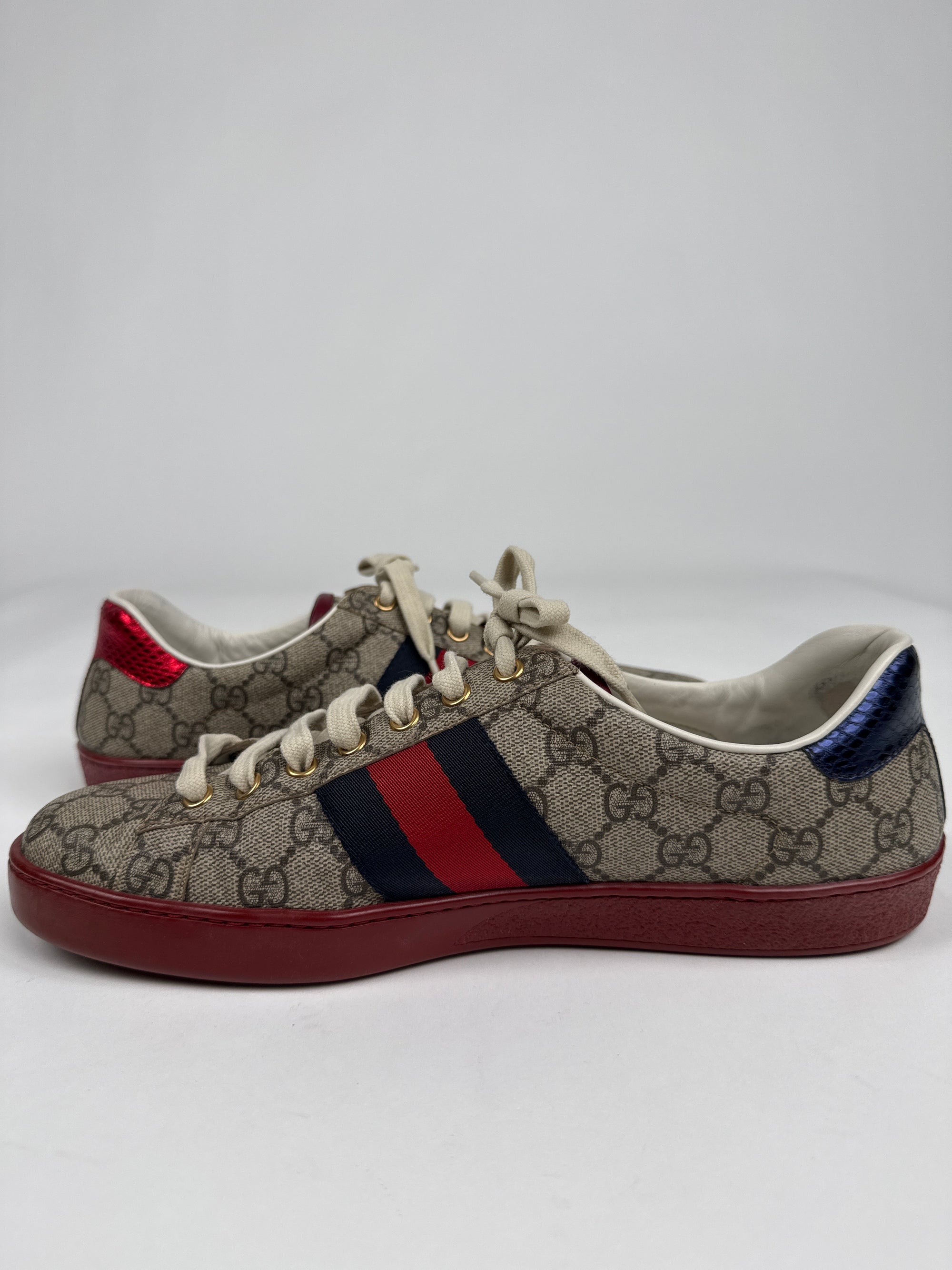 Sneaker Gucci Ace Supreme