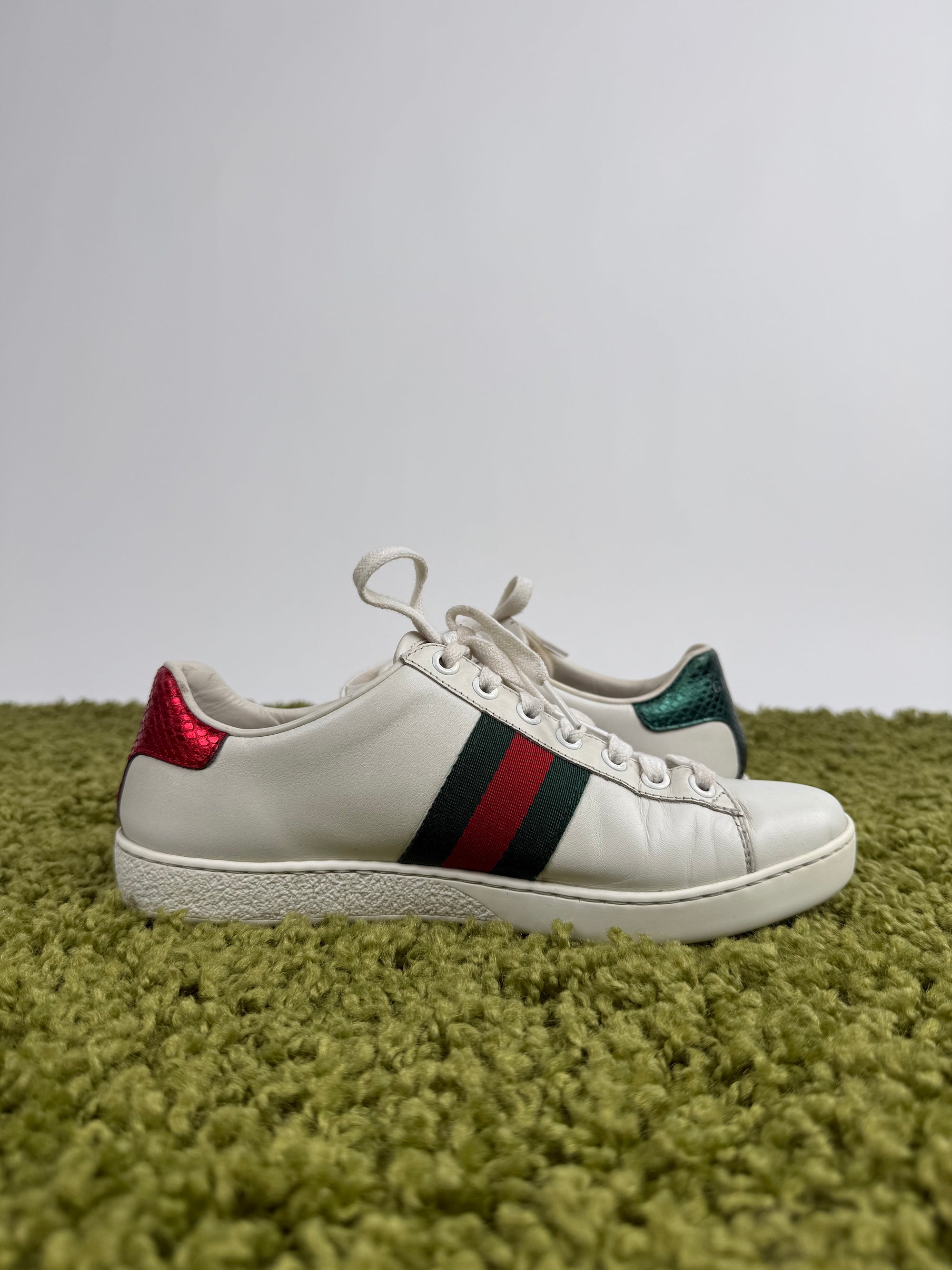 Gucci Ace Bianca 36