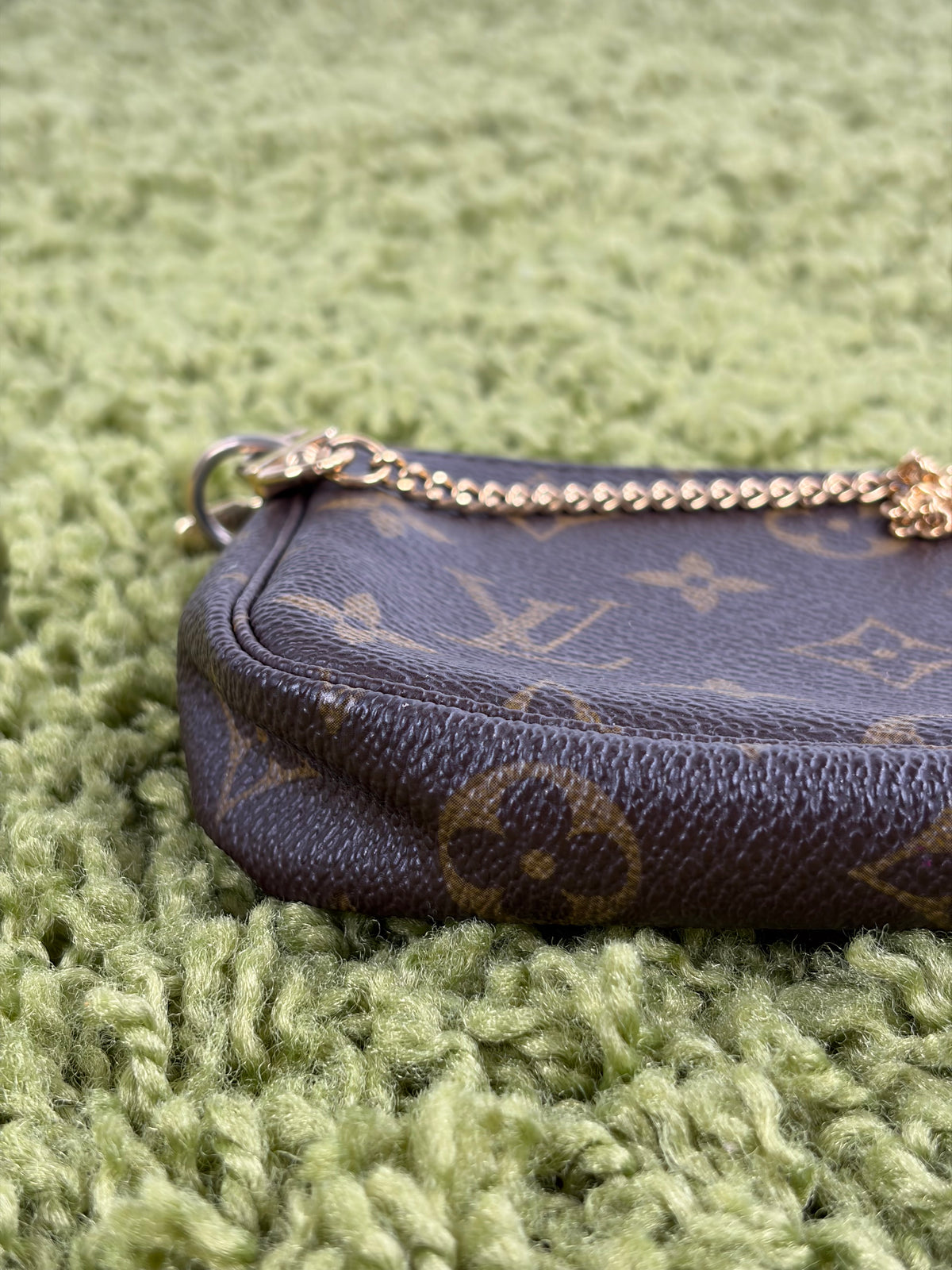 Mini Borsa Louis Vuitton Marrone