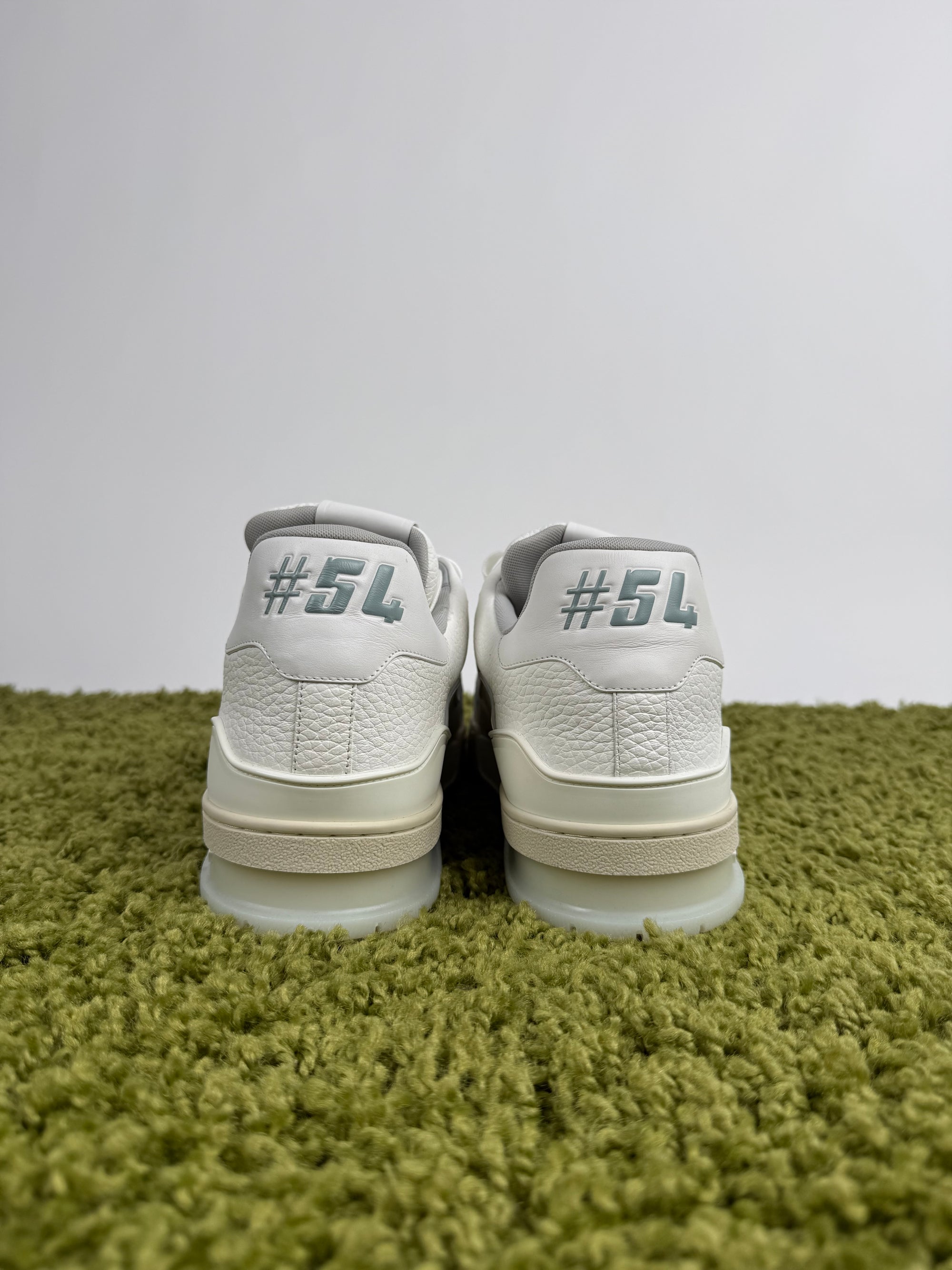 Louis Vuitton Trainer Bianca 11