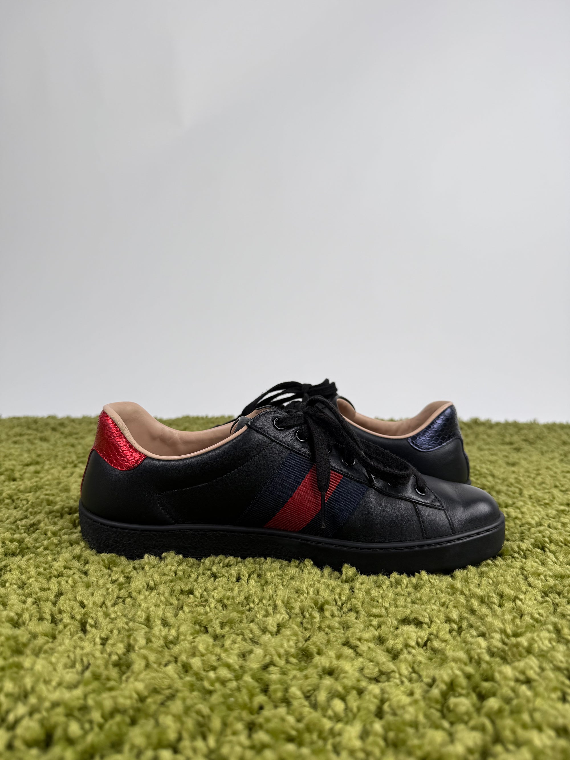 Gucci Ace Sneaker 40 veste 40,5