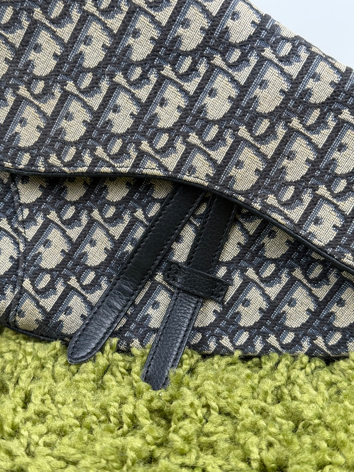 Borsa Saddle Christian Dior In oblique Beige Blu