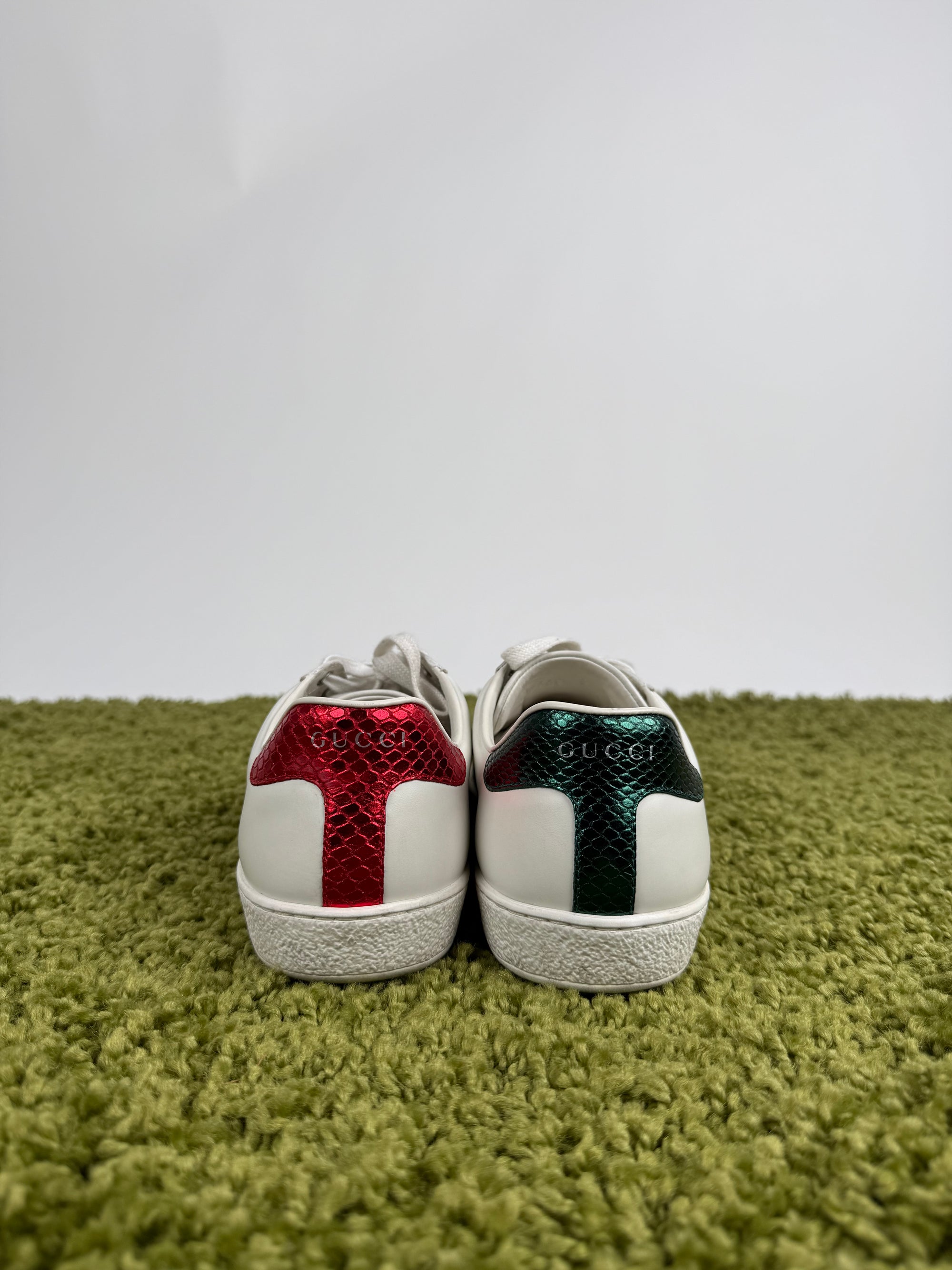Gucci Ace Sneaker 40 veste 40,5