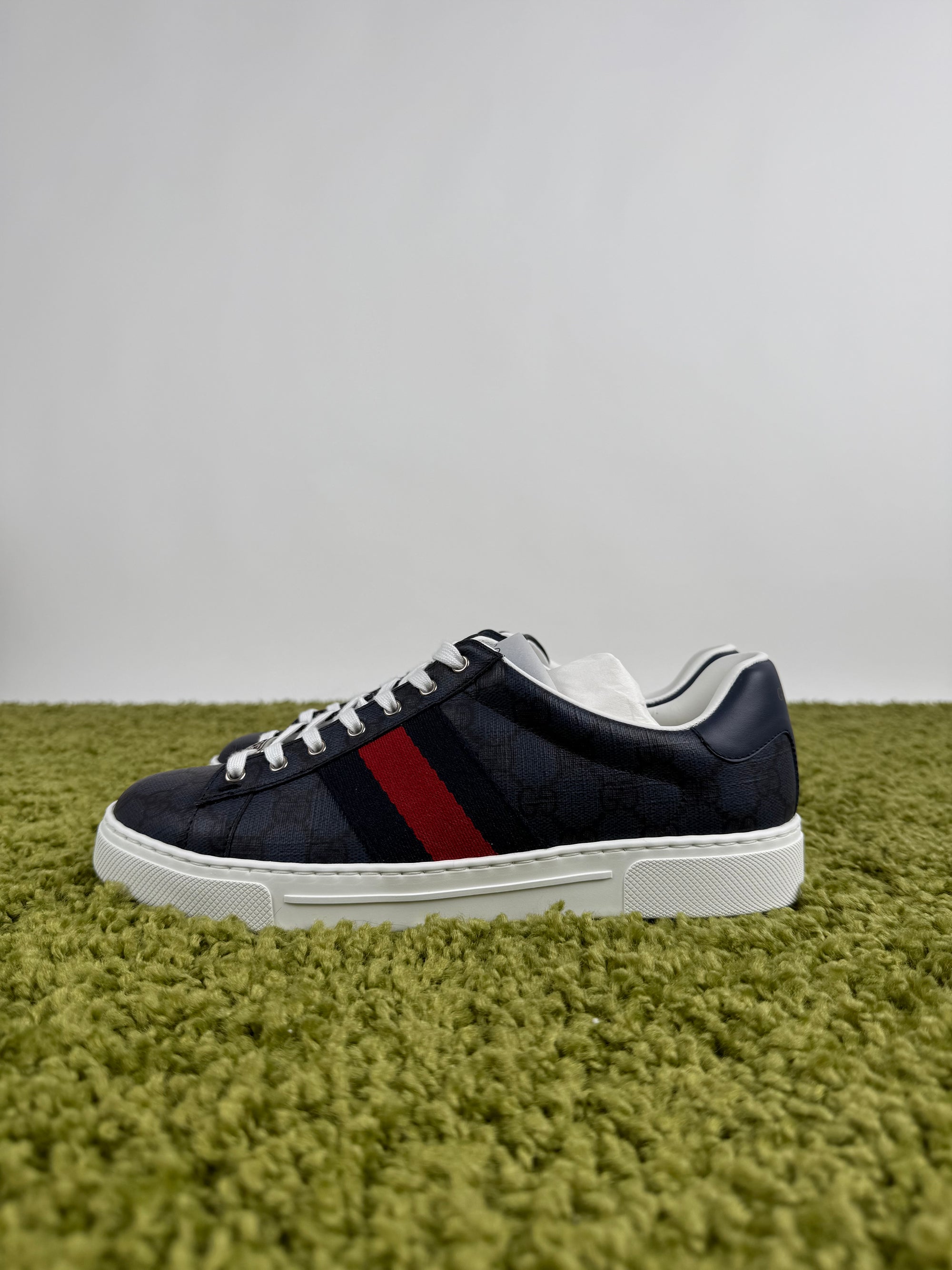 Gucci Ace Sneaker 40,5 veste 41