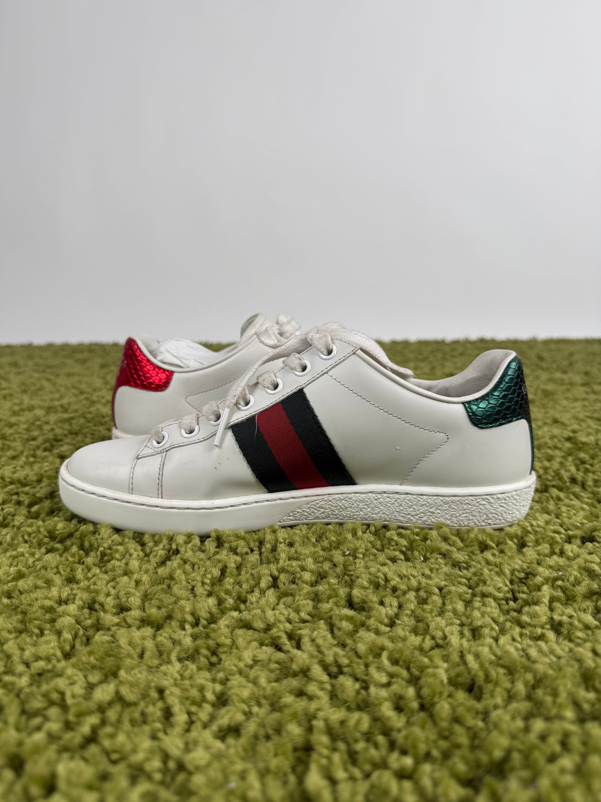 Gucci Ace Sneaker 35,5 veste 36