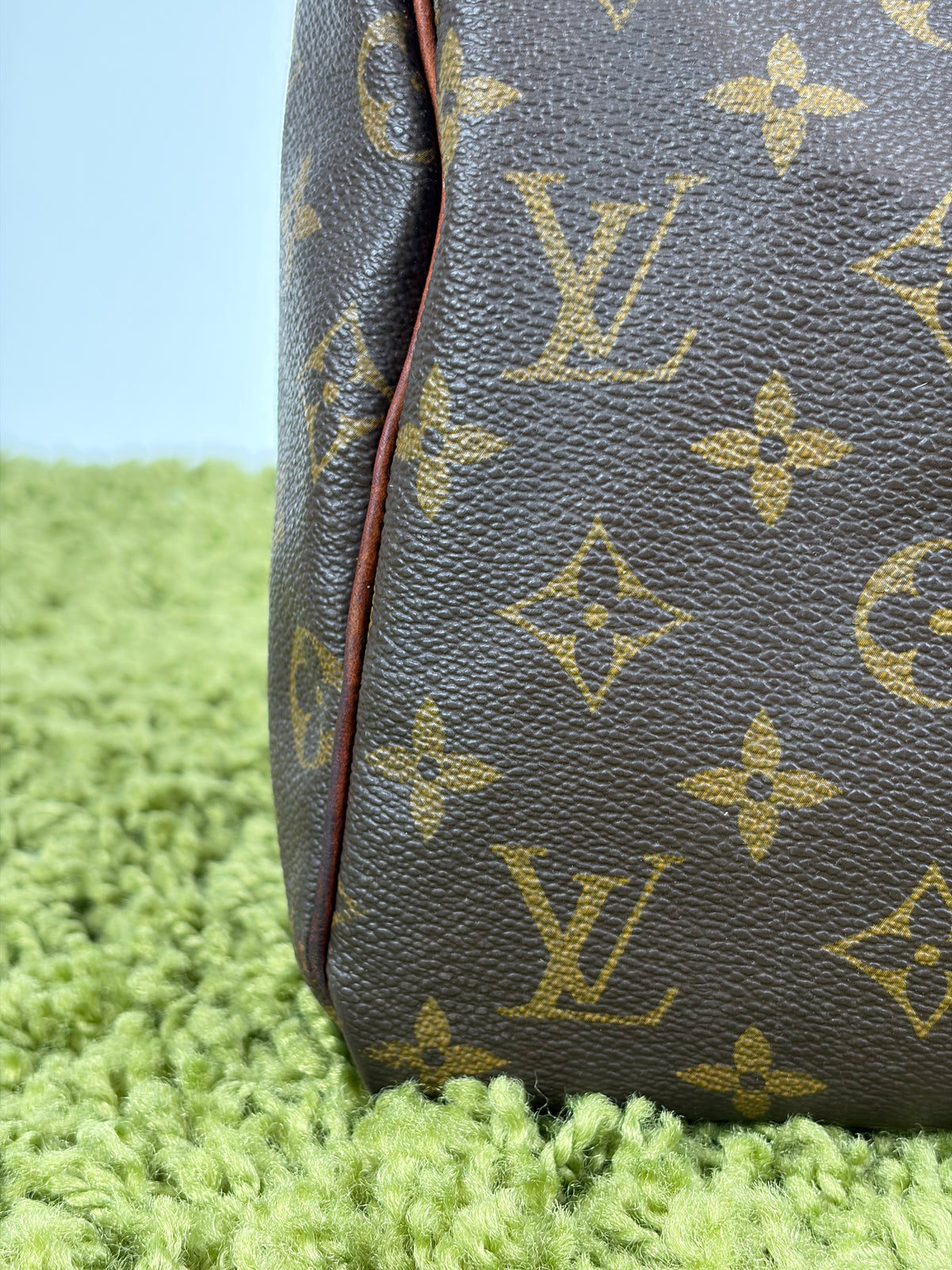 Borsa Louis Vuitton Speedy Marrone
