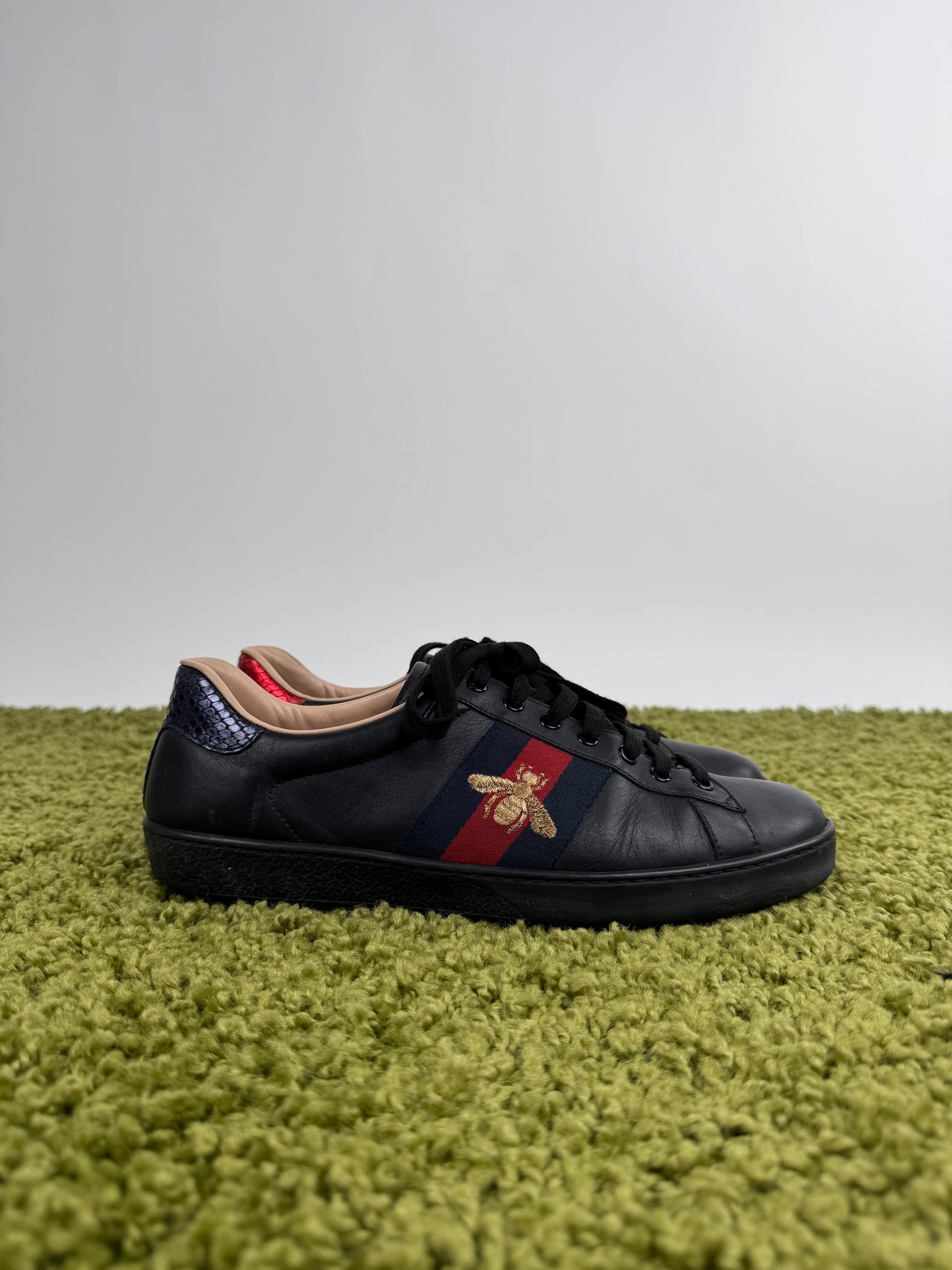 Gucci Ace Low Sneaker 43