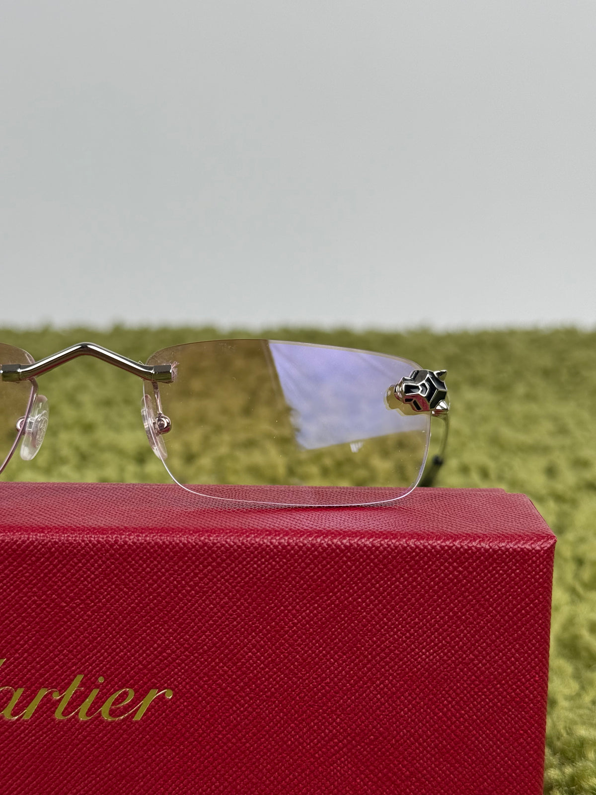 Cartier Panthère de cartier con aste argento