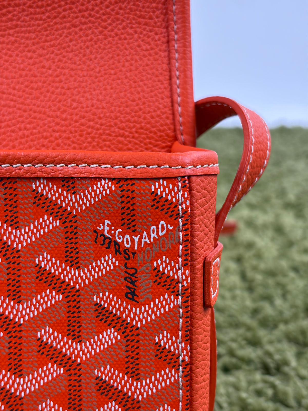 Borsa Goyard Belvedere PM in tela Goyardine Arancione