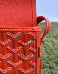 Borsa Goyard Belvedere PM in tela Goyardine Arancione