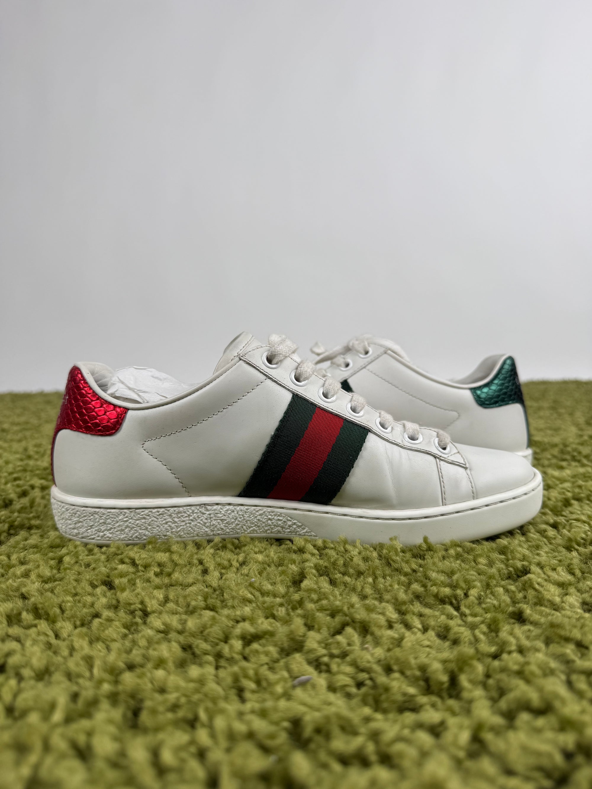 Gucci Ace Sneaker 35,5 veste 36