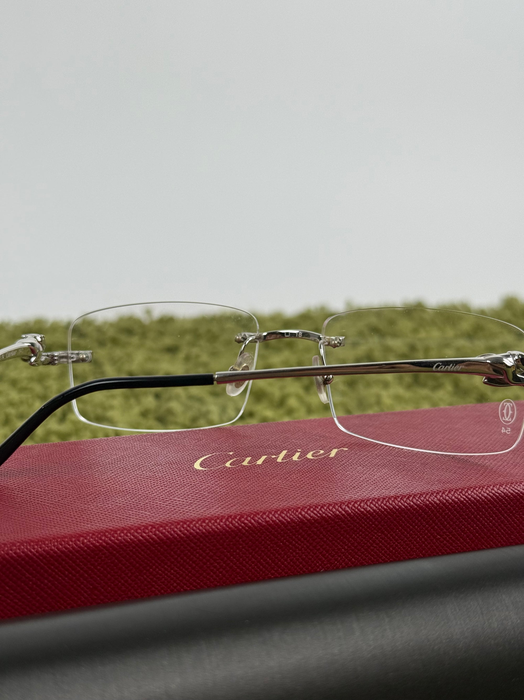 Occhiali Cartier CT0281O