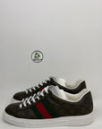 Gucci ace Size 6 verde