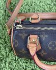 Borsa Louis Vuitton Nano Speedy Marrone