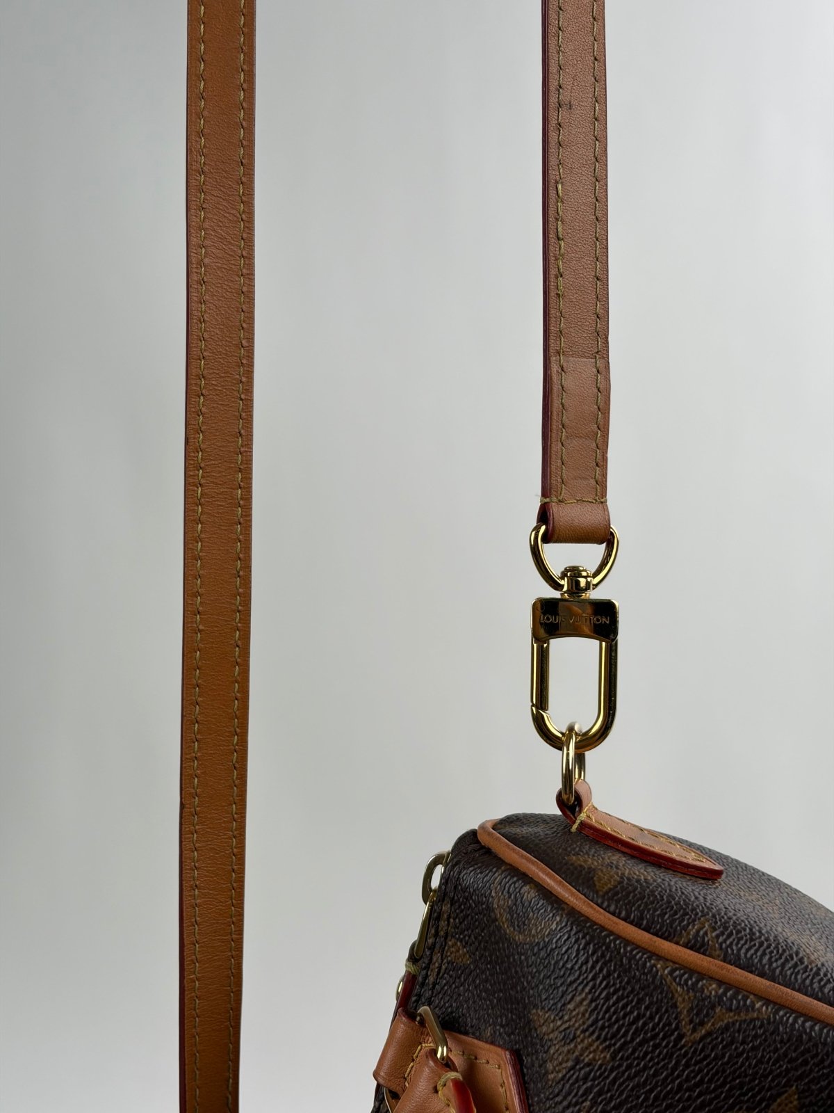 Borsa Louis Vuitton Nano Speedy Marrone
