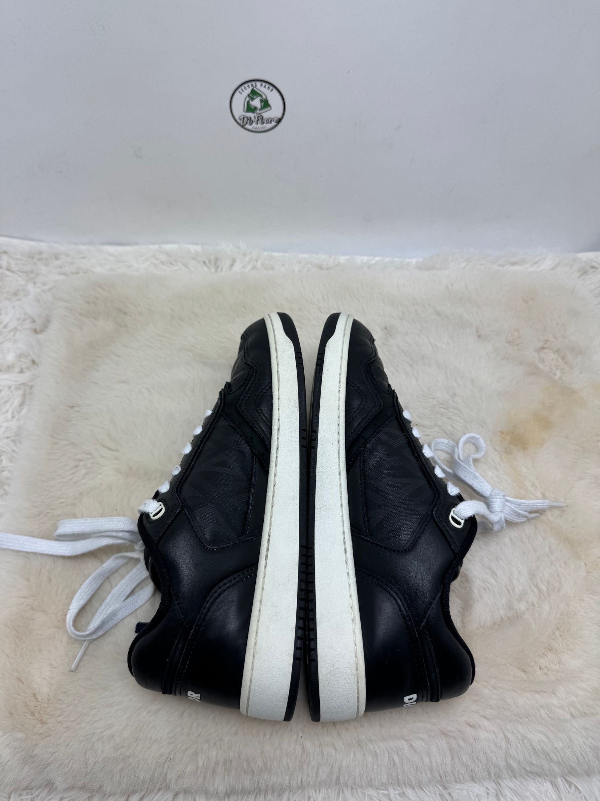 Dior B27